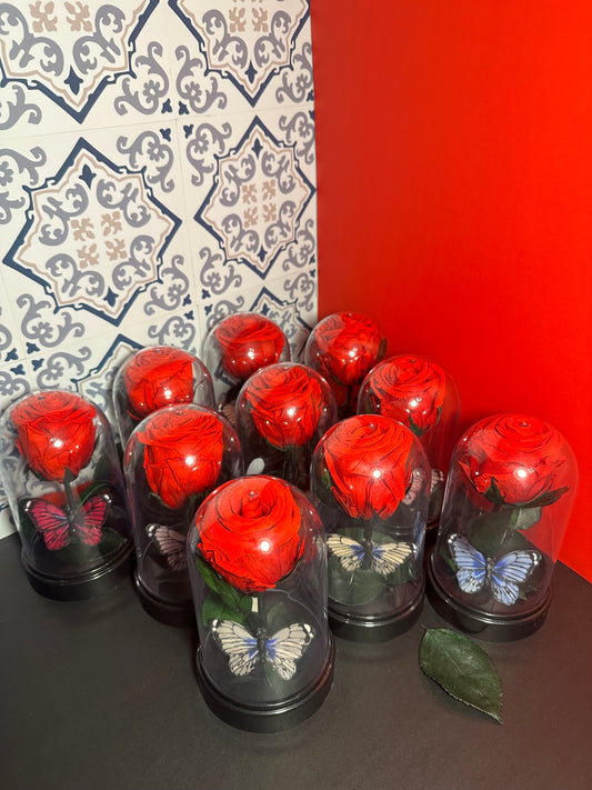 Eternal Rose Dome with Butterfly – Handmade Preserved Flower Gift