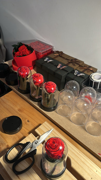 Eternal Rose Dome with Butterfly – Handmade Preserved Flower Gift