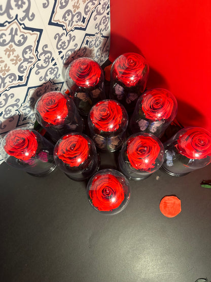 Eternal Rose Dome with Butterfly – Handmade Preserved Flower Gift