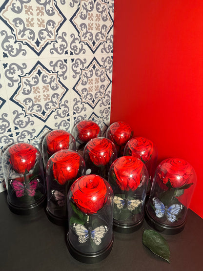 Eternal Rose Dome with Butterfly – Handmade Preserved Flower Gift
