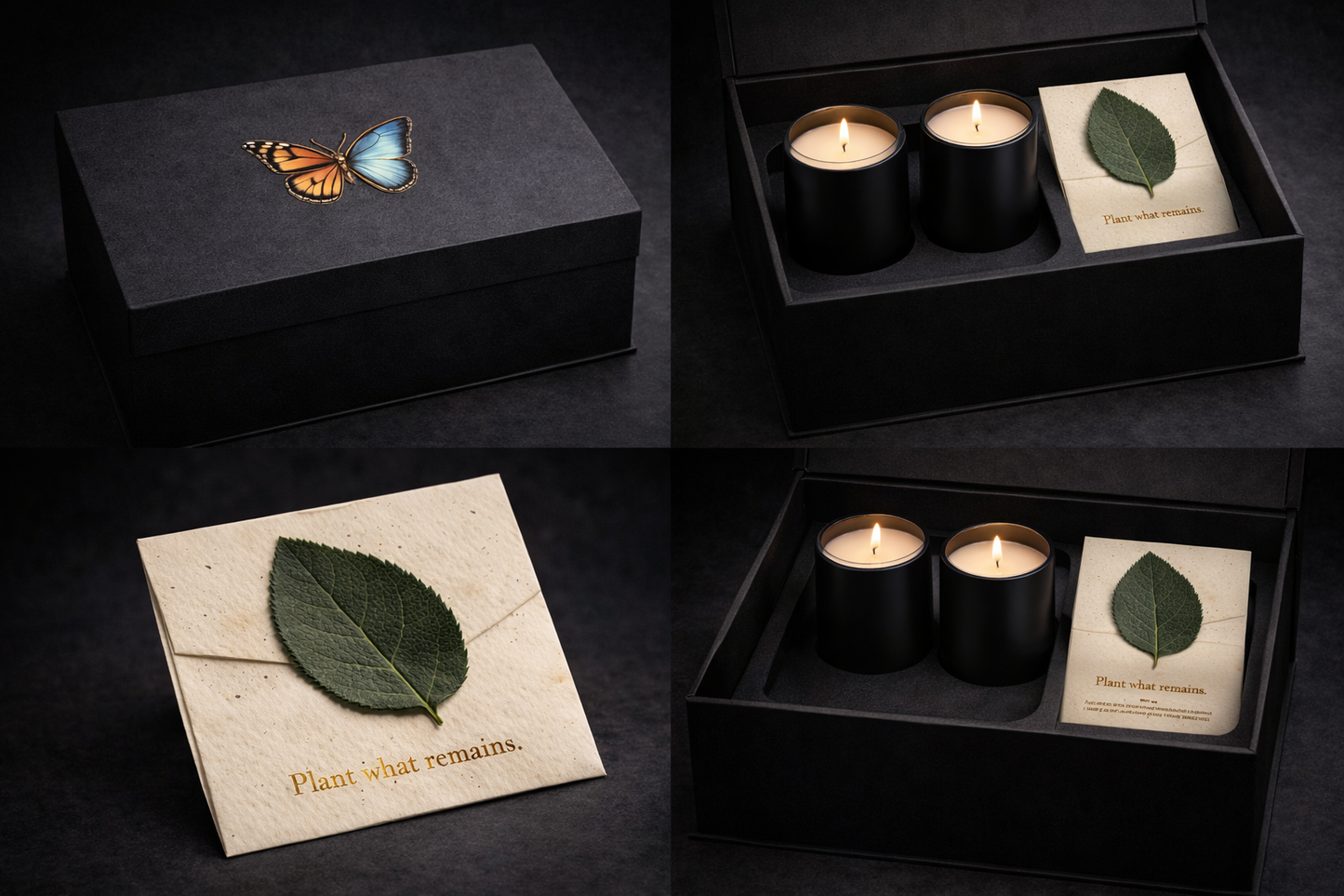The Quiet Monarch - Candle Gift Set